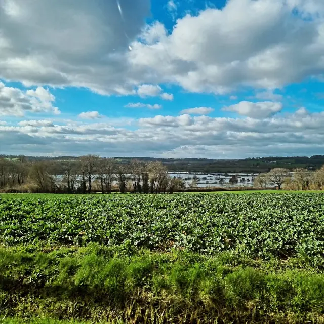 Instagram #lafertebernard