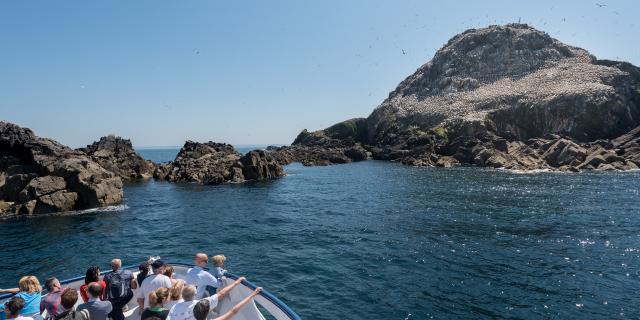 Ile Rouzic - Les 7 Iles à Perros-Guirec | Côtes d'Armor (Bretagne)