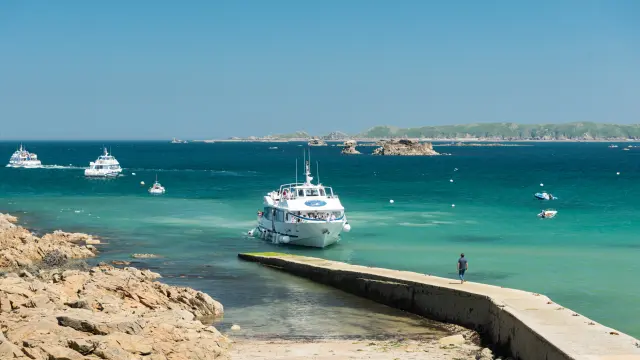 Vedette d'Armor Navigation - Les 7 Iles à Perros-Guirec | Côtes d'Armor (Bretagne)