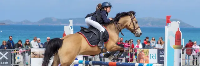 Perros Jump 2019 Jump Pix 1