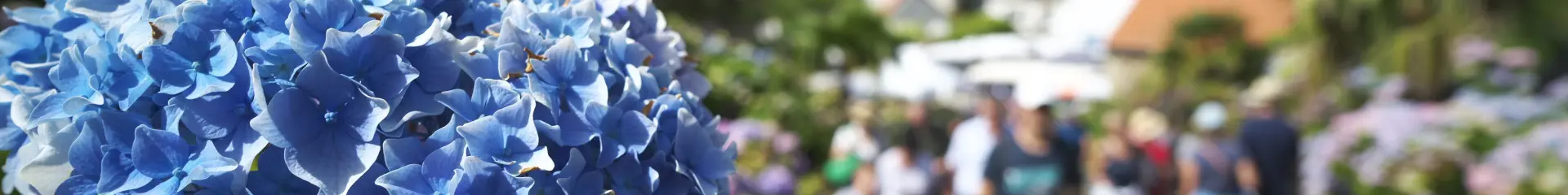 Marché Centre Ville (1)