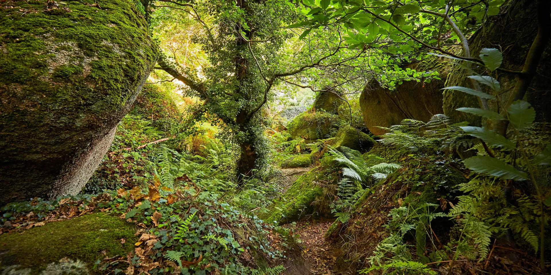Vallée des Traouïéro | La Clarté | Perros-Guirec | Côtes d'Armor (Bretagne)