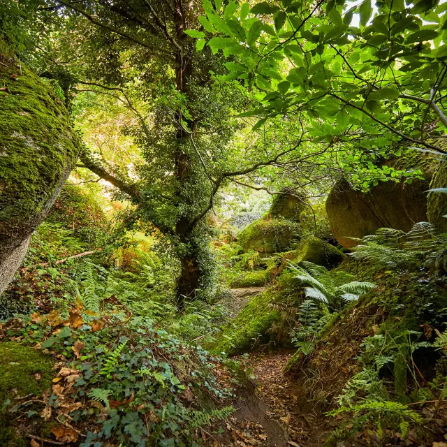 Vallée des Traouïéro | La Clarté | Perros-Guirec | Côtes d'Armor (Bretagne)