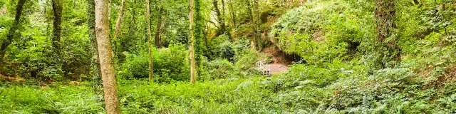 Vallée des Traouïéro | La Clarté | Perros-Guirec | Côtes d'Armor (Bretagne)