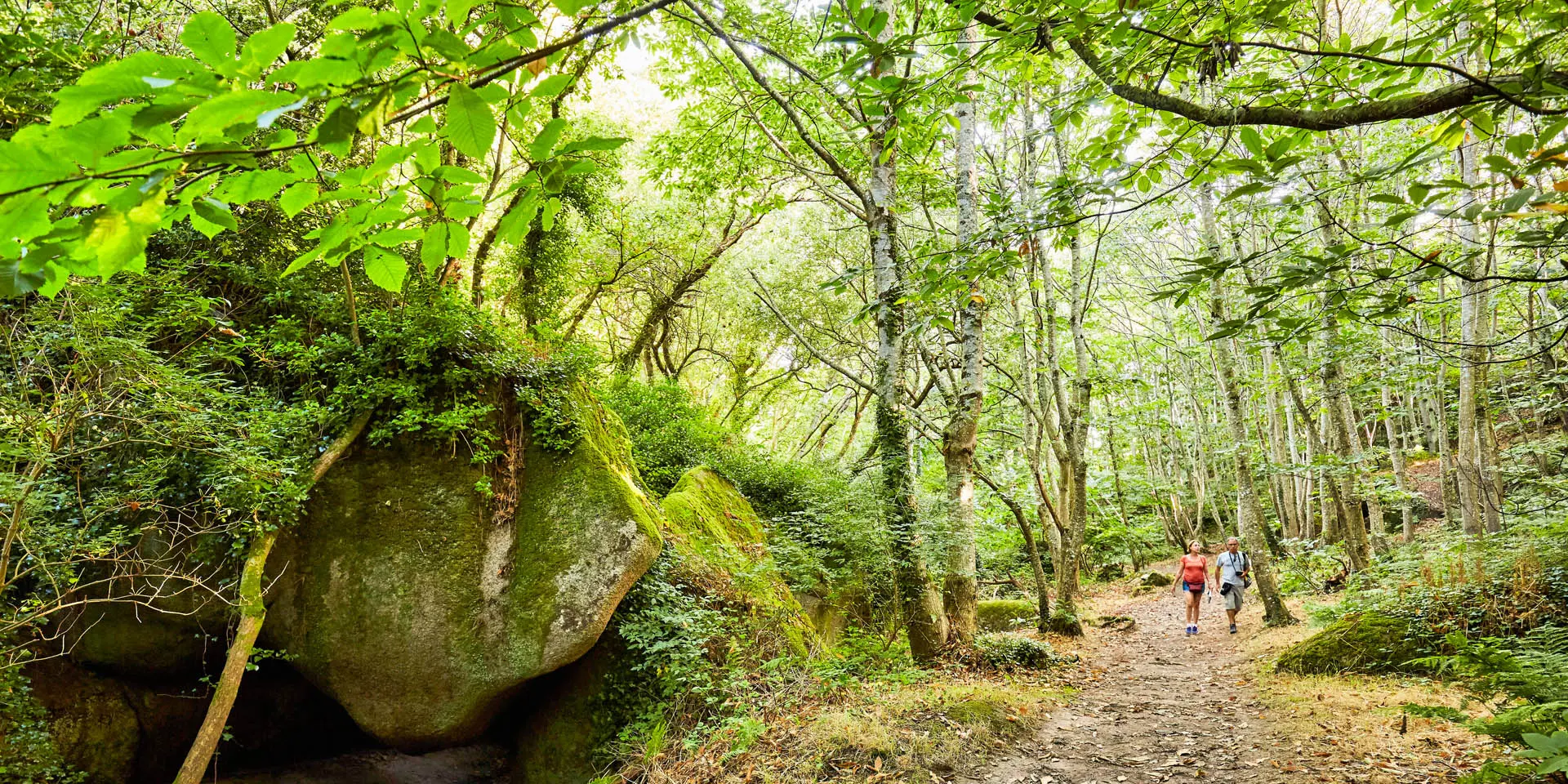 Vallée des Traouïéro | La Clarté | Perros-Guirec | Côtes d'Armor (Bretagne)