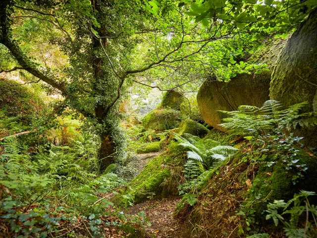 Vallée des Traouïéro | La Clarté | Perros-Guirec | Côtes d'Armor (Bretagne)