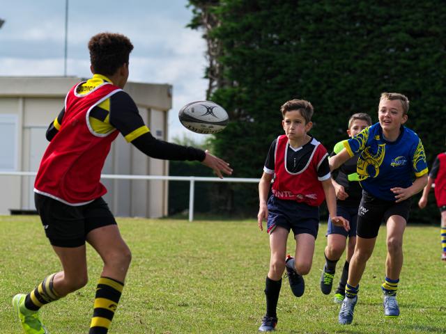 Tournoi Rugby