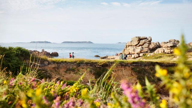 OT - Cote De Granit Rose - GR34, Sentier des Douaniers | Ploumanac'h, Perros-Guirec | Côtes d'Armor (Bretagne)