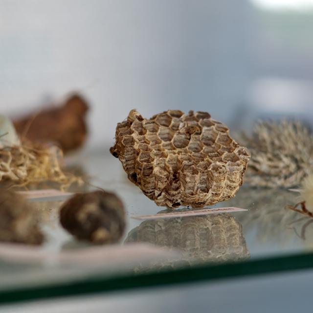 Maison du Littoral, Exposition permanente