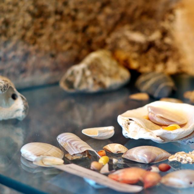 Maison du Littoral, Exposition permanente