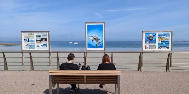 Festival BD Trestraou