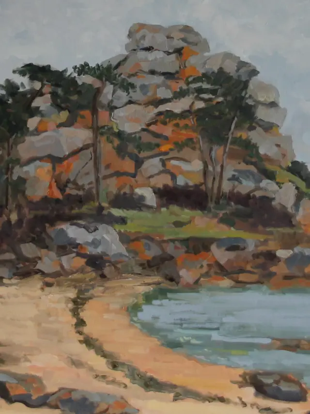 164 3 Ploumanac'h Crique De Pors Rolland 54x73 20p