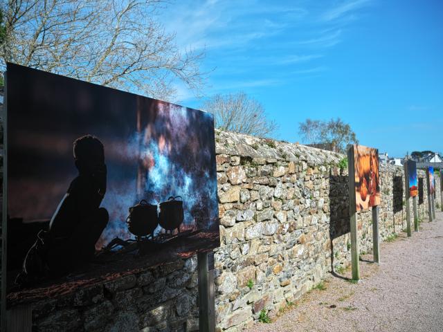 Namib, désert aux mille visages, exposition photos