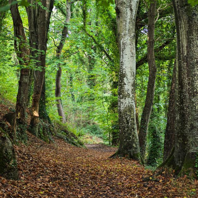 Vallee Des Traouiero