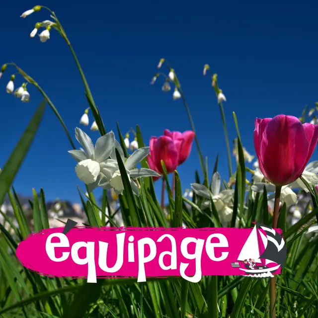 Equipage Banniere 1