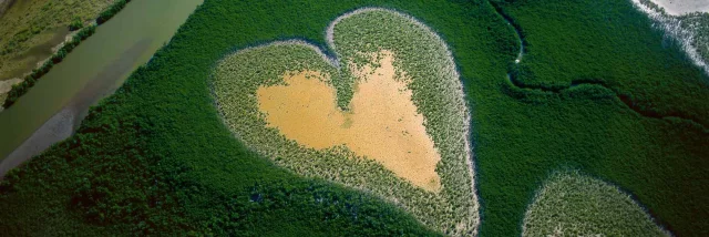 Coeur Yab