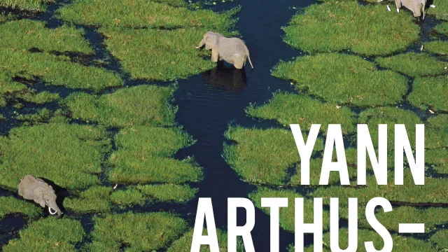 Legacy Yann Arthus Bertrand Perros Guirec 2025