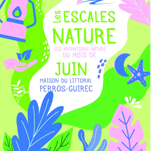 Pages De Flyers Mdl Juin Im