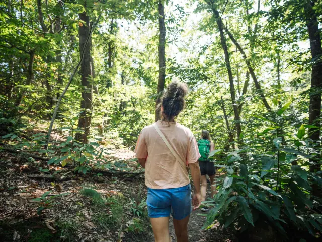 Photographe - vidéaste