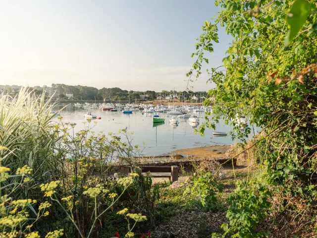 Port de Ploumanac'h - Côte de Granit Rose - Perros-Guirec - Côtes d'Armor