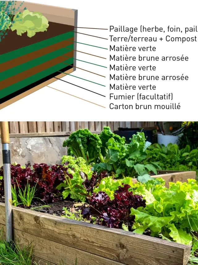 Design Sans Titre 76