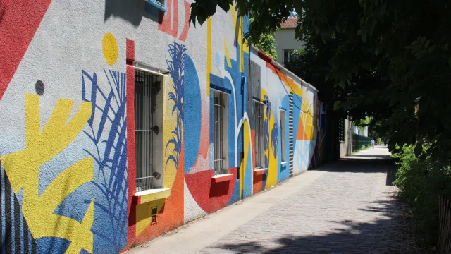 Img 7171