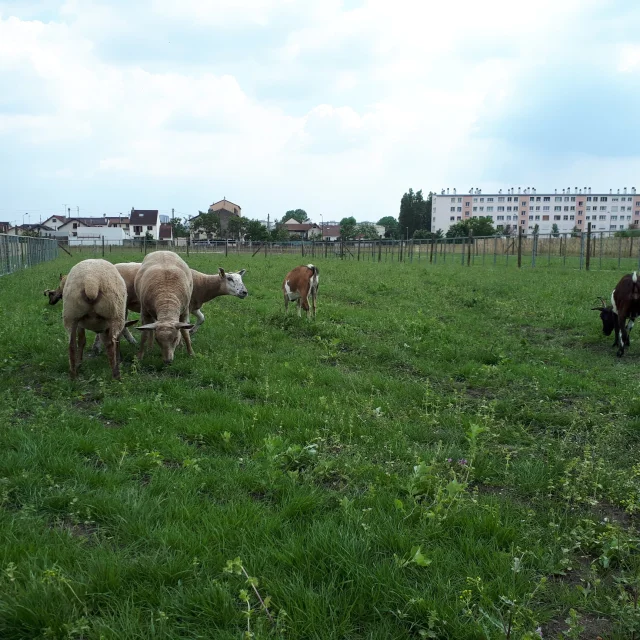 Copyright Ferme De Gally 1