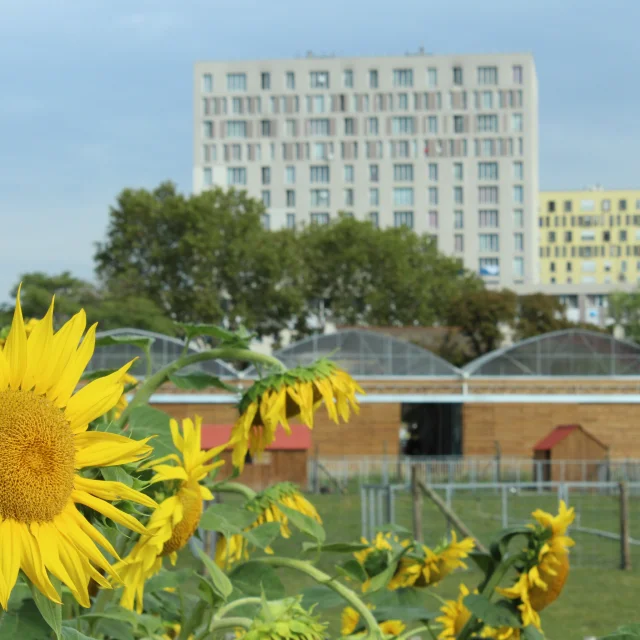 Copyright Ferme De Gally 4