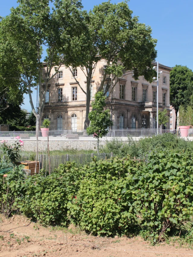 Chateau Saint Ouencoti Plaine Commune