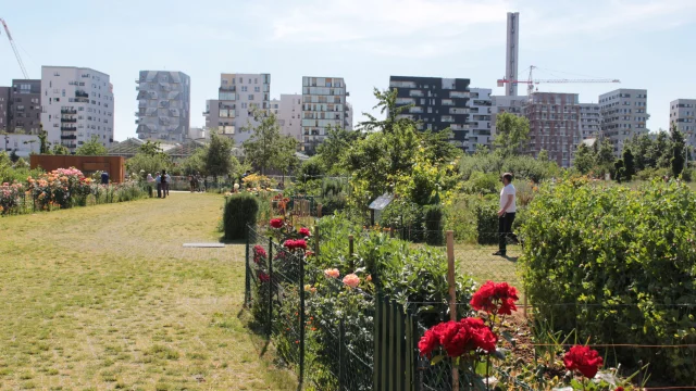 Jardines Dockscoti Comuna de Plaine