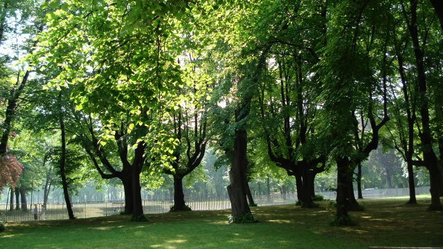 Parc Credit Office De Tourisme De Saint Denis Plaine Commune