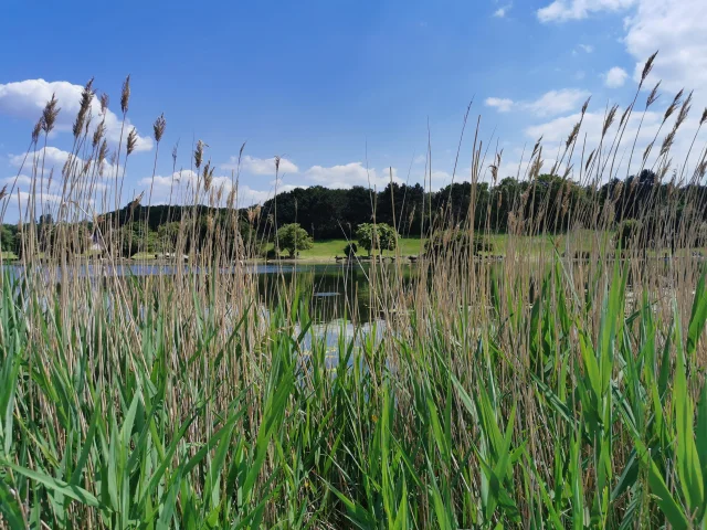 Parcgeorgesvalbon Etangcoti