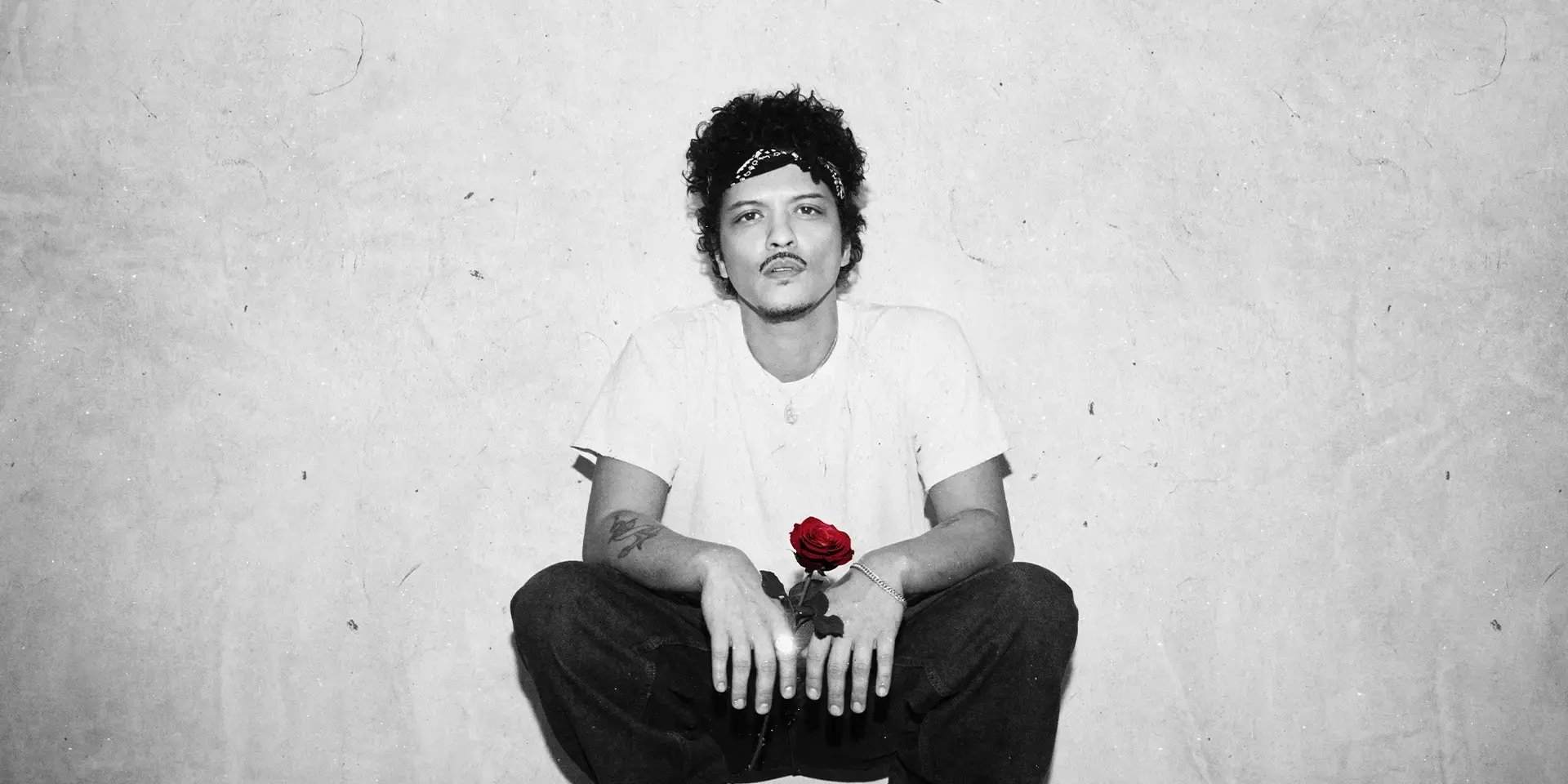 Bbb08bcf 19f6 47cd Aa72 89696eb15abd 1