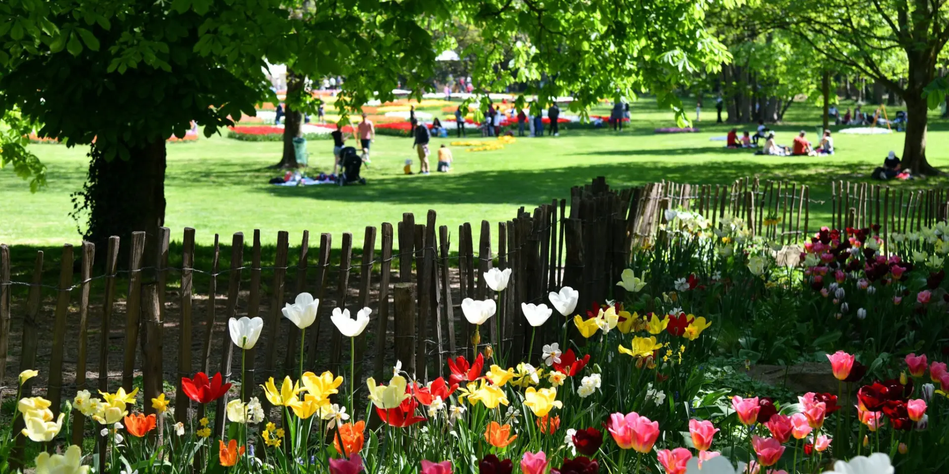 La fête des tulipes à Saint-Denis