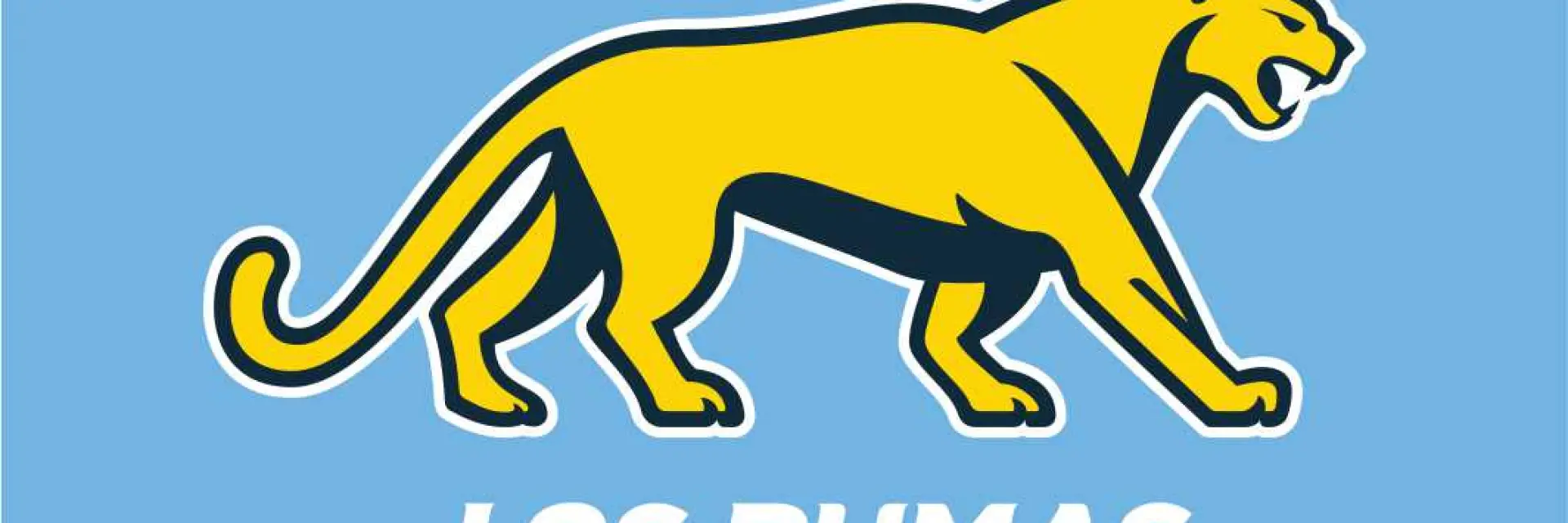 Pumas