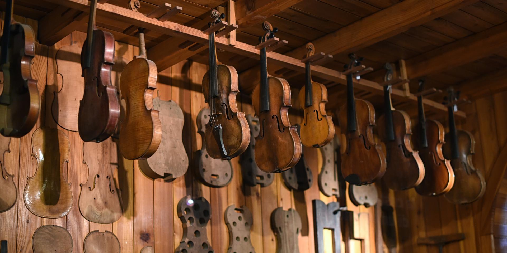 Low angle view of violins with violas hanging in instrument maker workshop