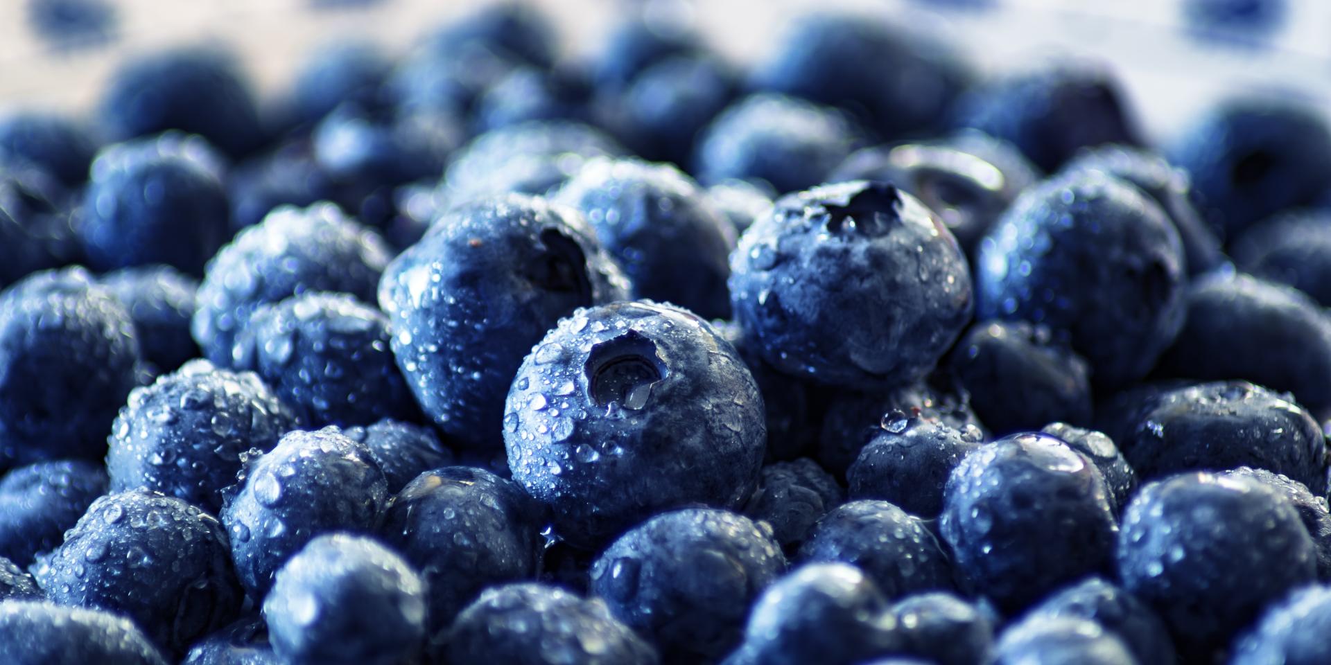 Blueberries 3460423
