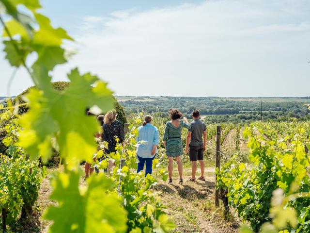 Angers, vins & escapade