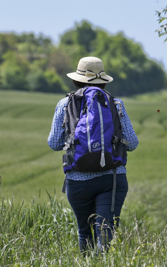 Randonnée à proximité de la Tour de Ratières