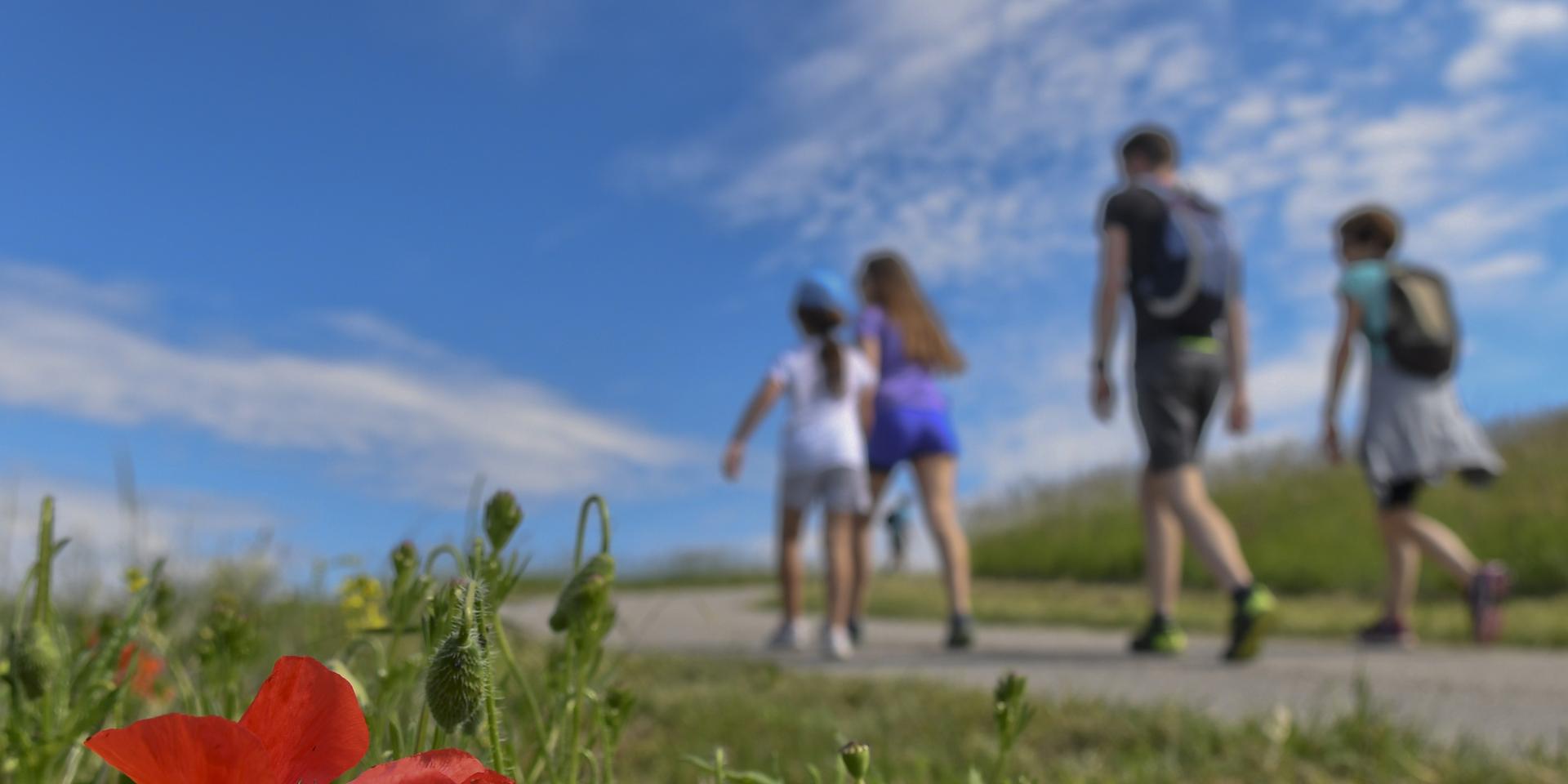 Family hike in Porte de DrômArdèche