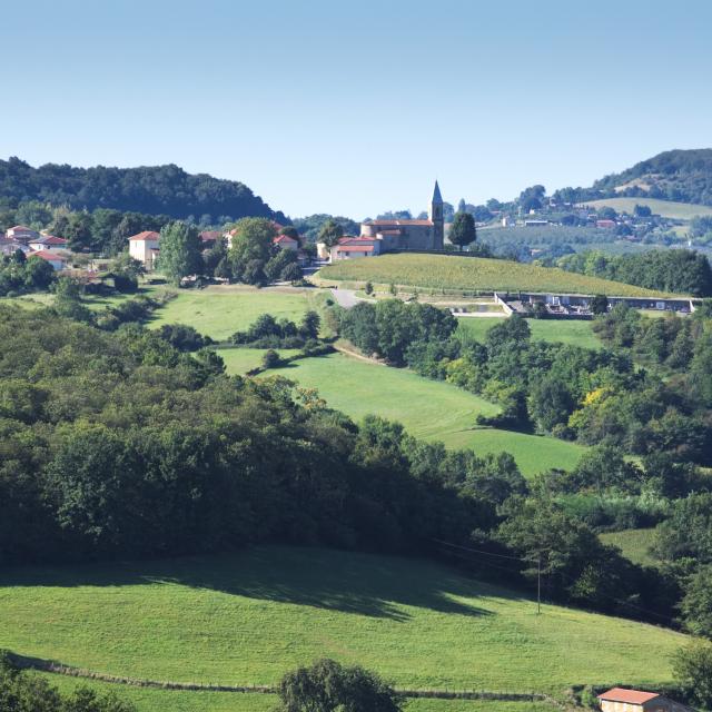 Valley landscape in Porte de DrômArdèche