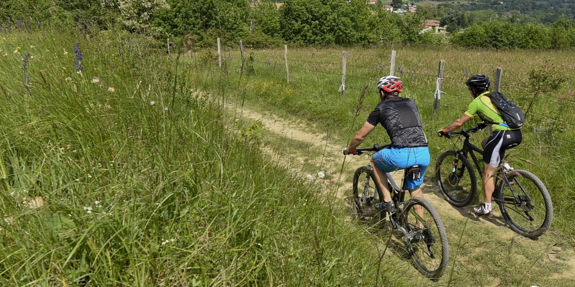 VTT en Drôme des collines sur Saint Avit