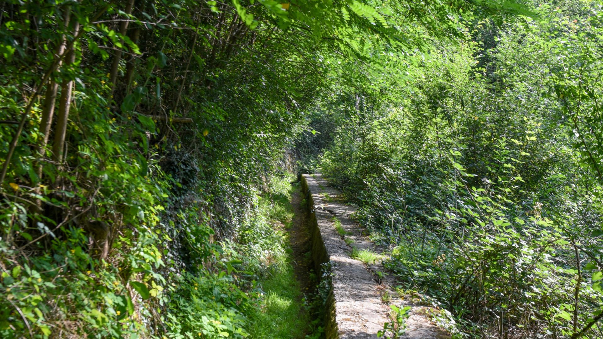 The of the Ay Official website of the tourist office around