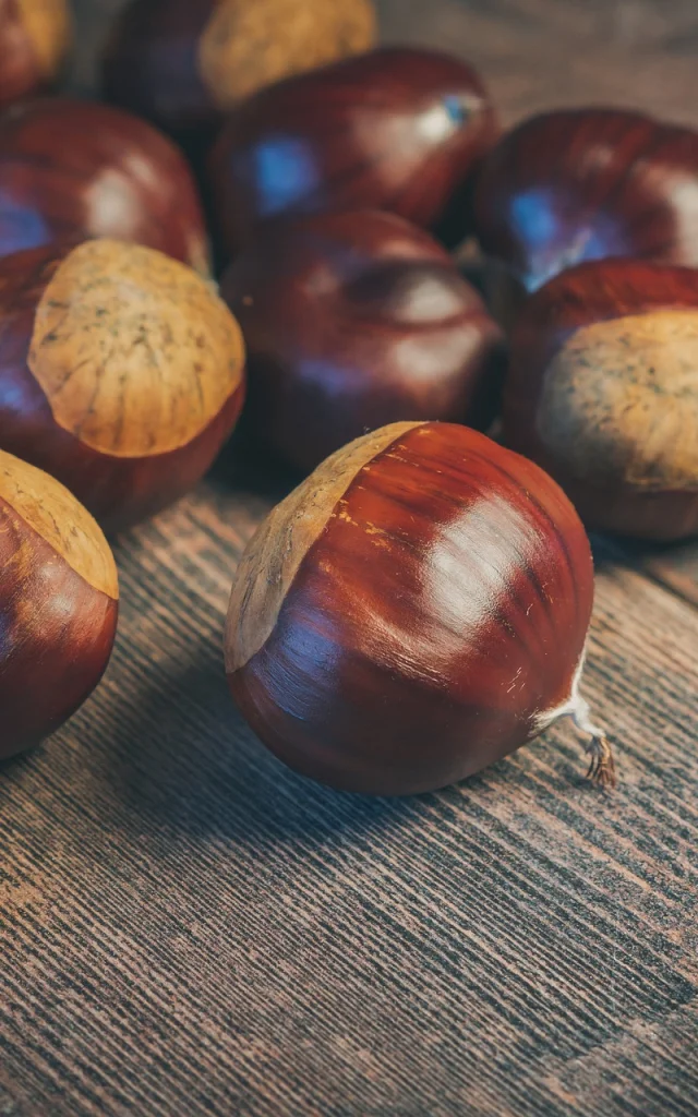 Châtaignes (Drôme des collines)