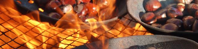 Roasted chestnuts