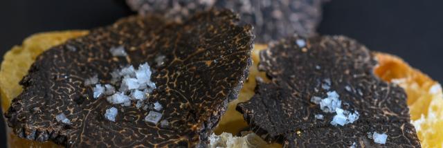 Truffe de la Drôme des Collines
