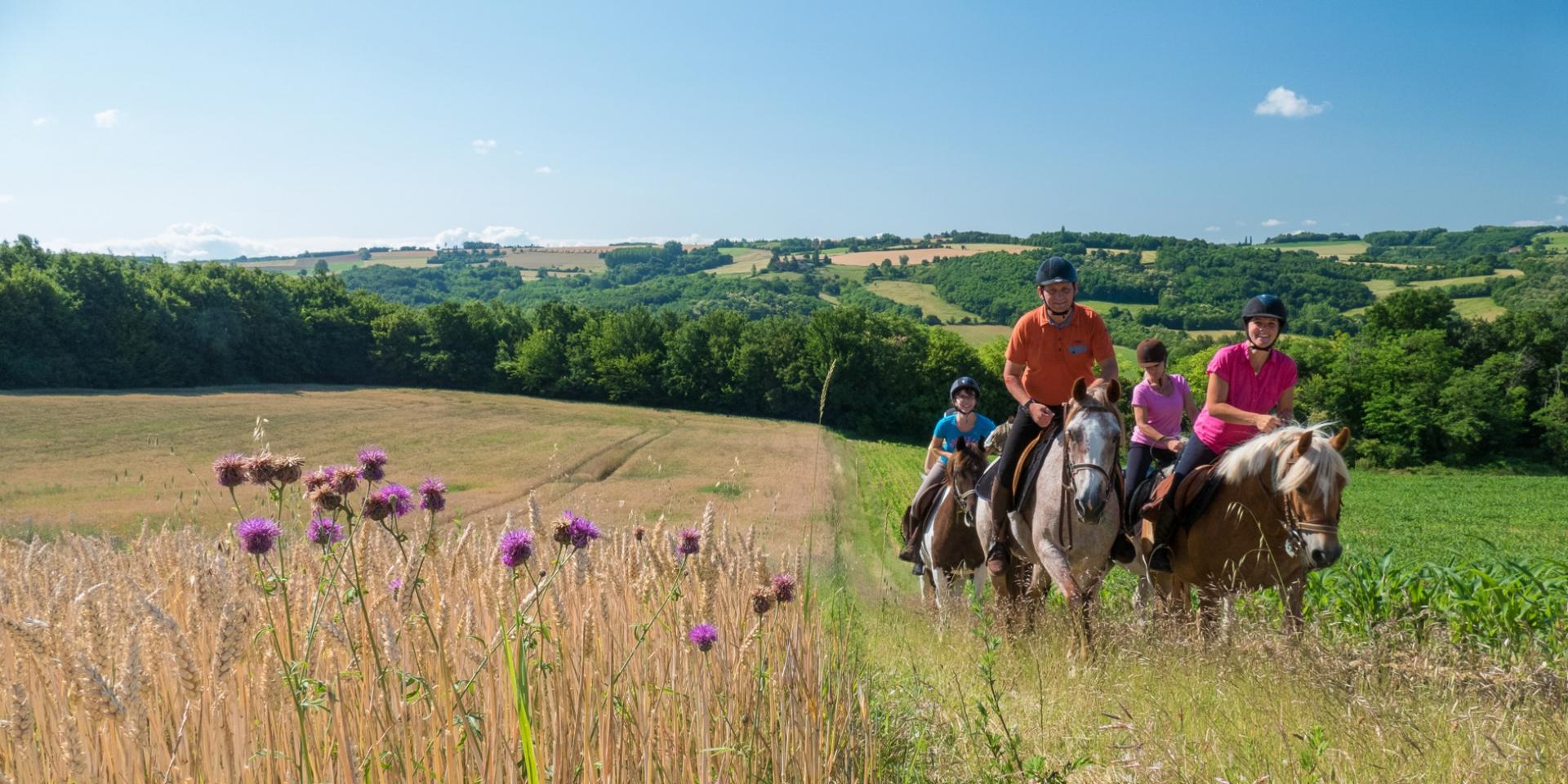 Couverture Cheval Paradis : Cheval Paradis site officiel