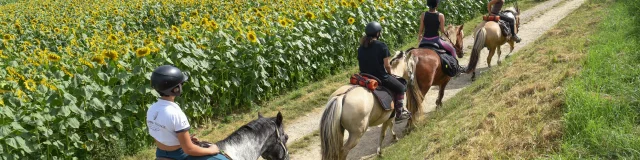 Le 27.07.2021. Rando à cheval en Drôme des collines.© Porte de DrômArdèche Tourisme Patrick Gardin