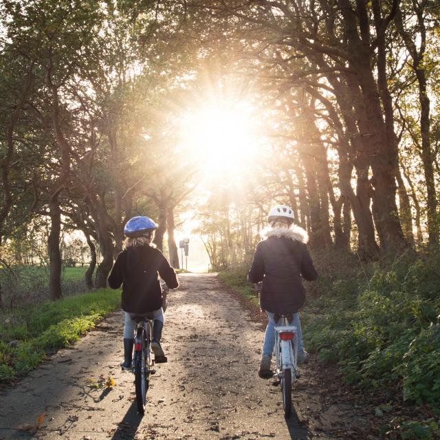 label accueil vélo