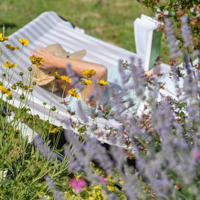 Calm and zen on vacation around the Ideal Palace